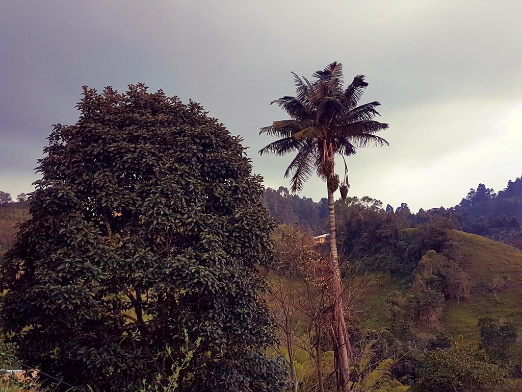 Mirador De Los Cedros Salento Zewnętrze zdjęcie