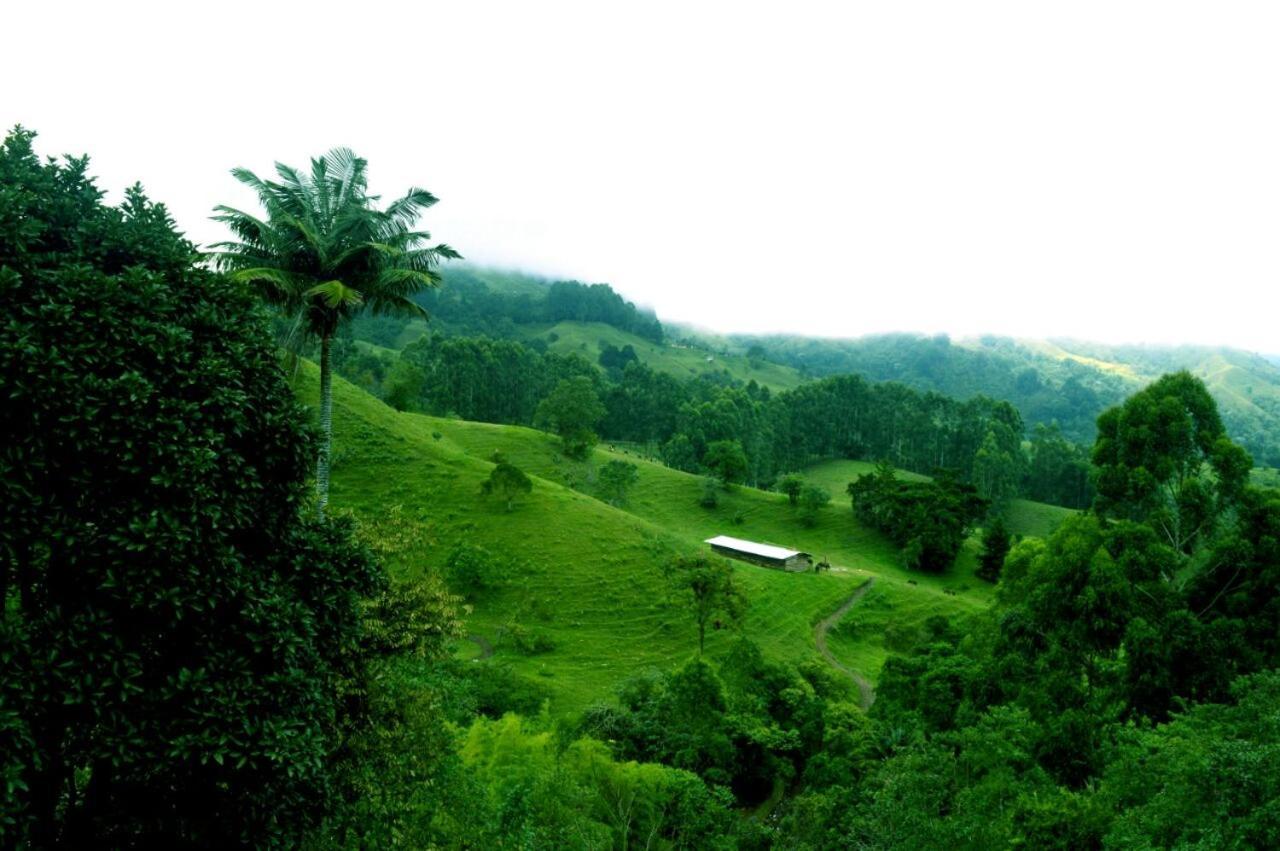 Mirador De Los Cedros Salento Zewnętrze zdjęcie